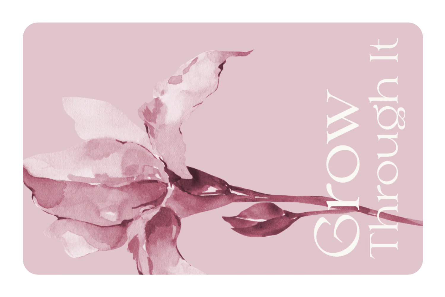 New Card Cover Drops