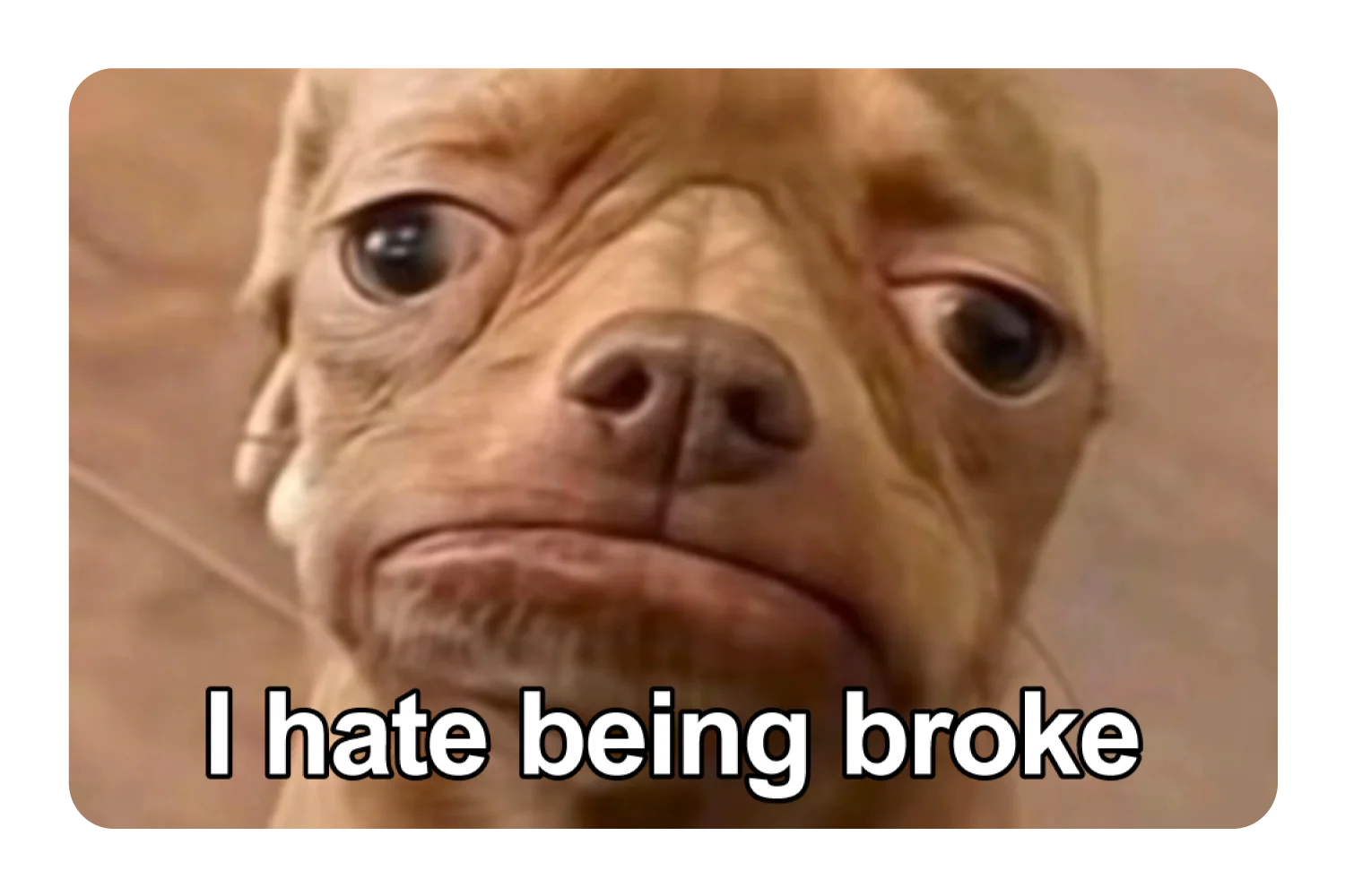 Trending Card Covers