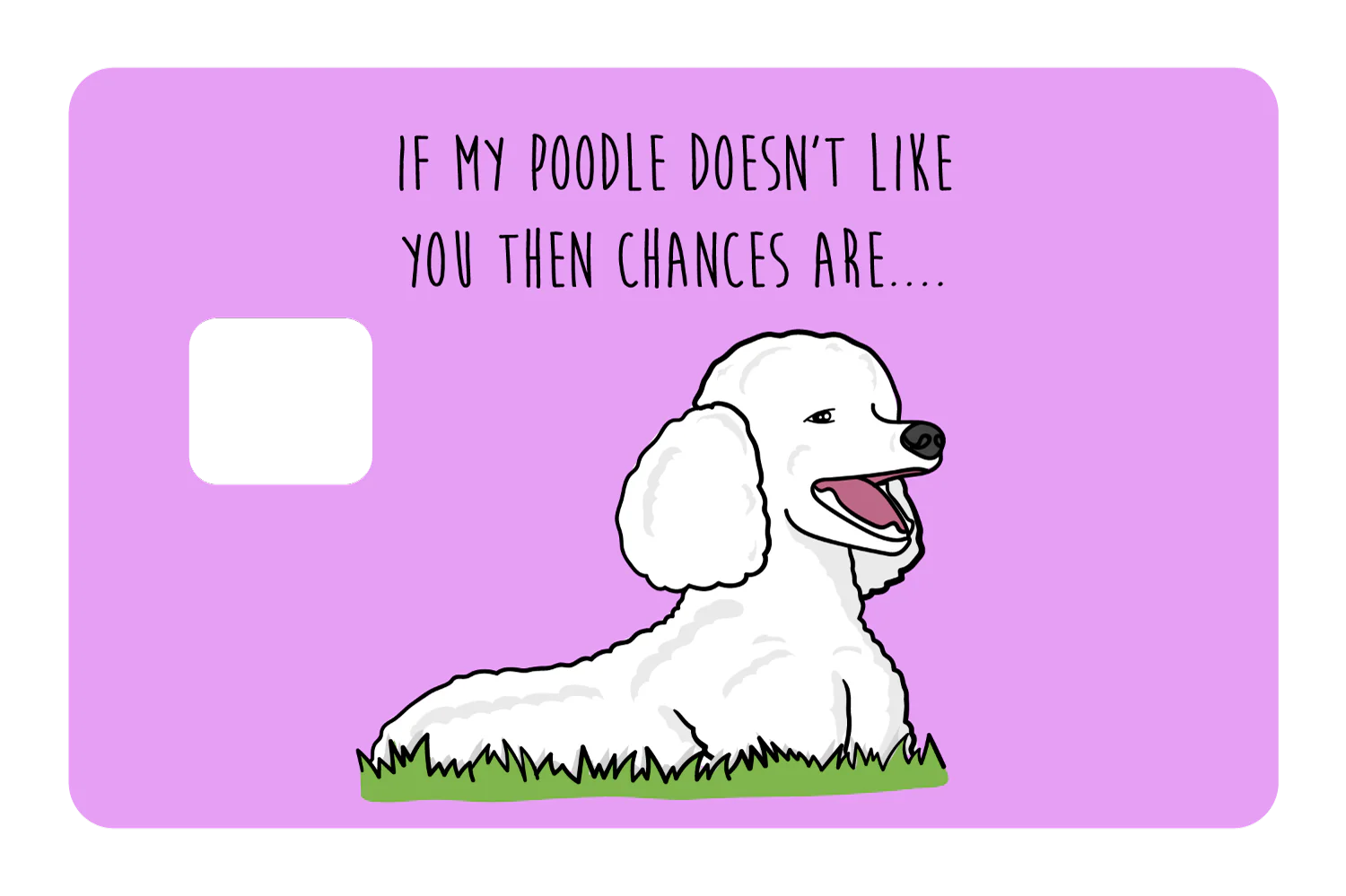 My Poodle don't like you - Image 3