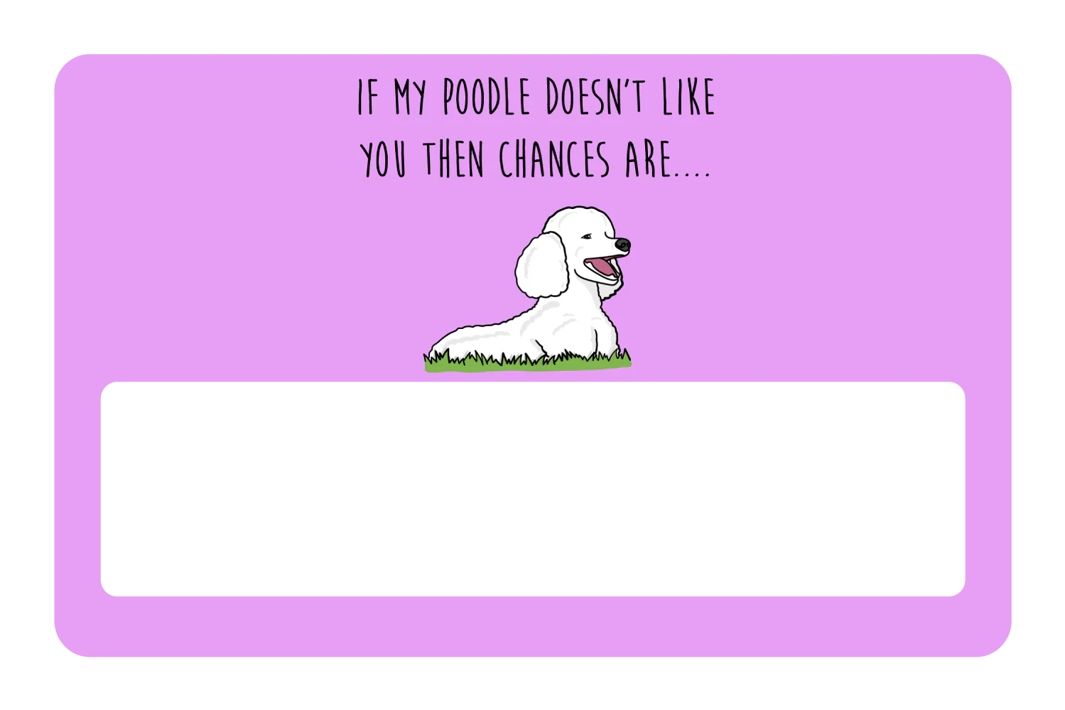 My Poodle don't like you - Image 6