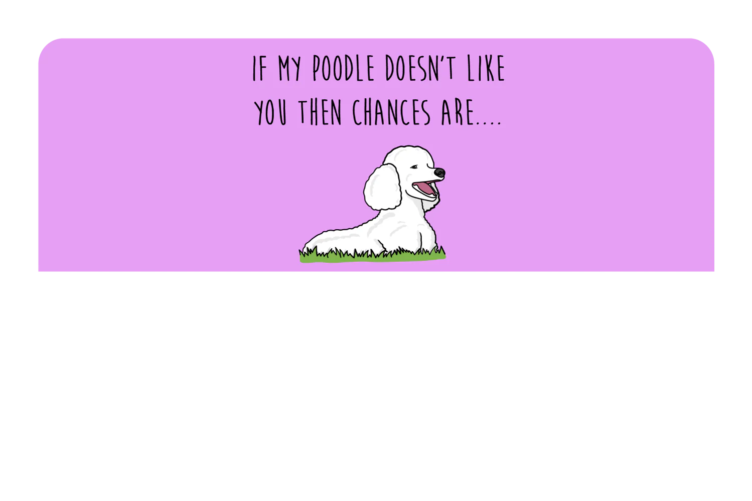 My Poodle don't like you - Image 9