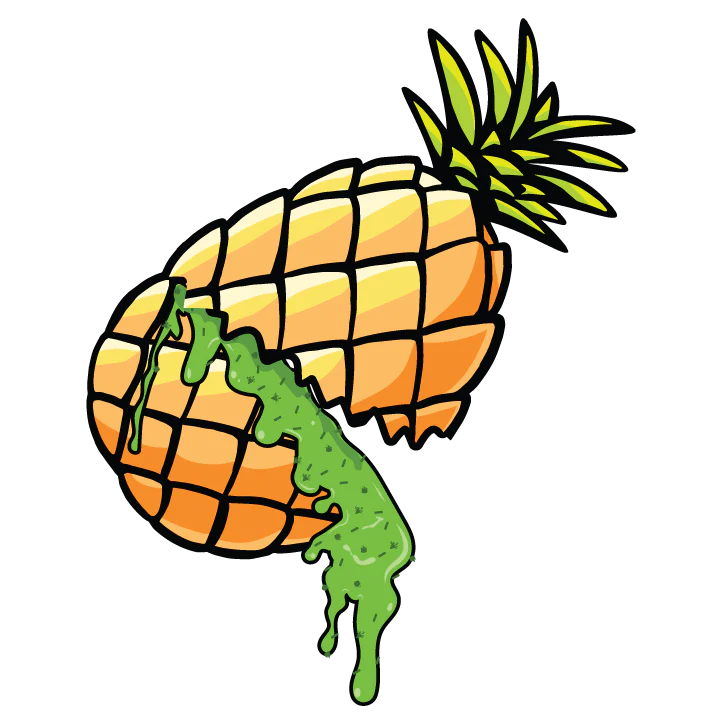 Slime Pinapple - Image 3